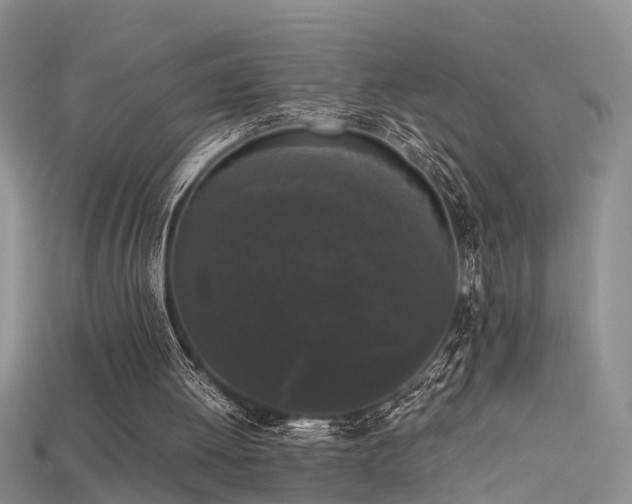 X0000115720052200911121459