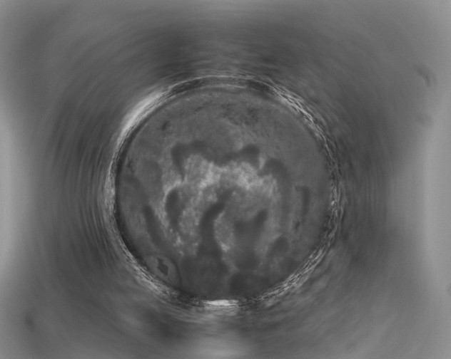 X0000115720053200911121459