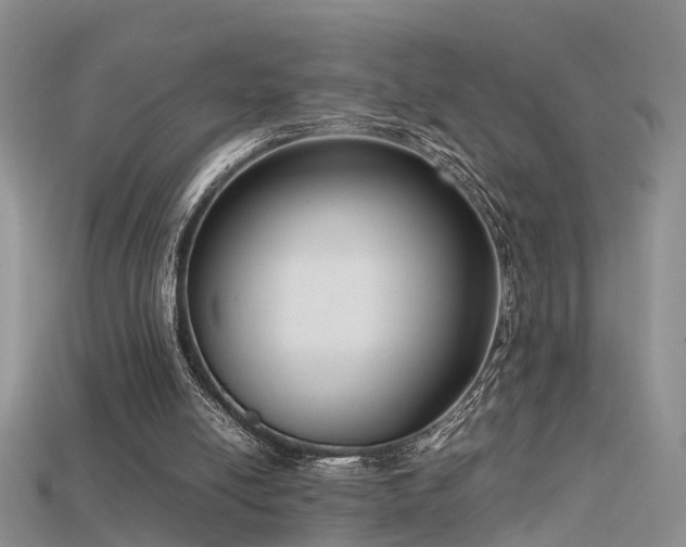 X0000115720054200911121459