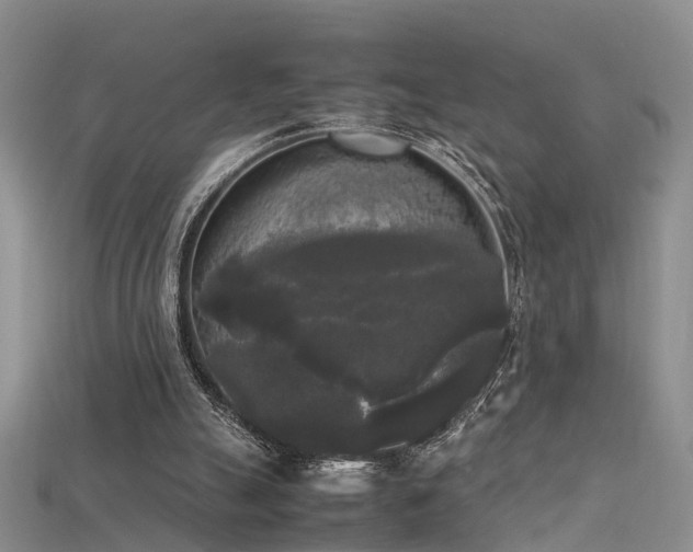 X0000115720055200911121459