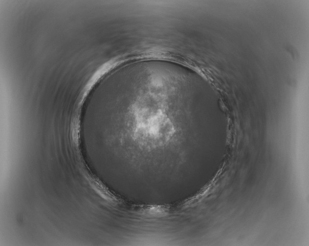 X0000115720056200911121459