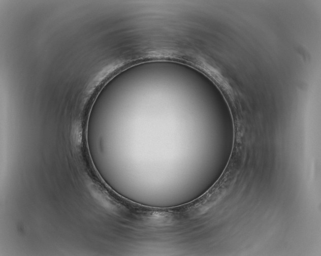 X0000115720060200911121500