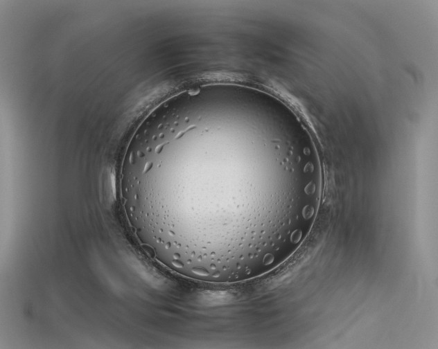 X0000115720061200911121500