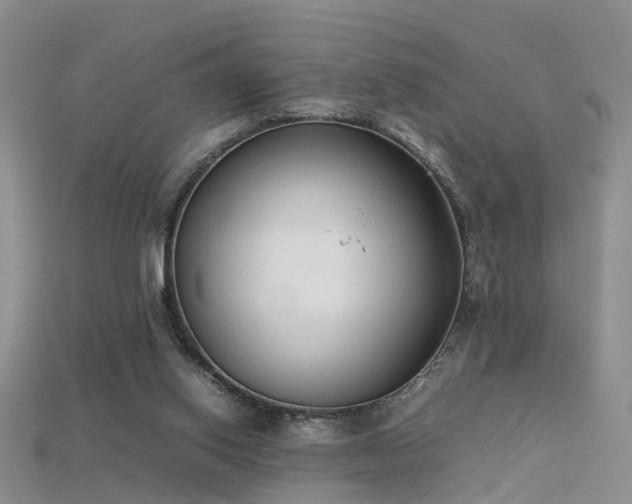 X0000115720062200911121500
