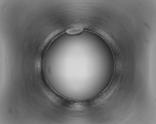 X0000115720064200911121500