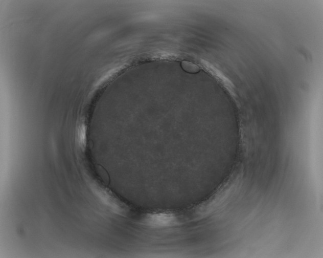 X0000115720067200911121500