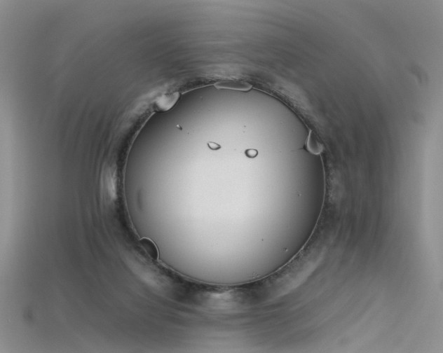 X0000115720068200911121500