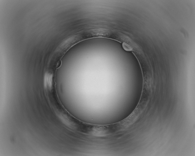 X0000115720070200911121500