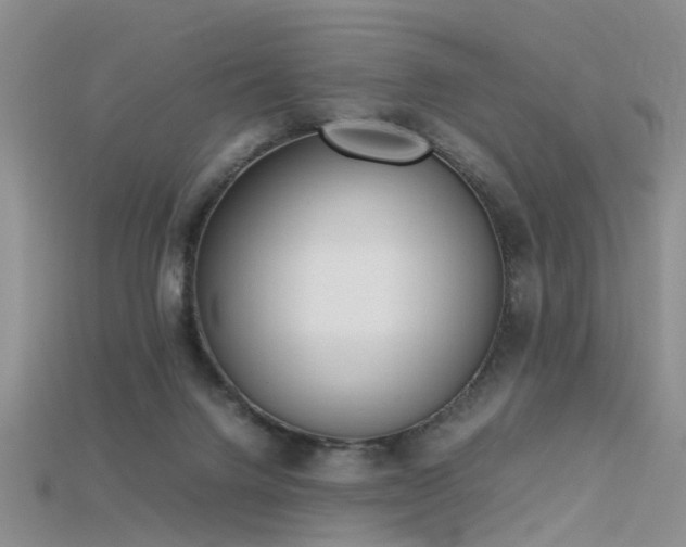 X0000115720072200911121500