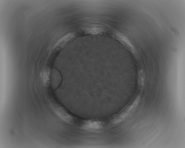 X0000115720073200911121500