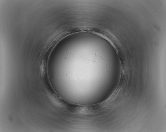 X0000115720074200911121500