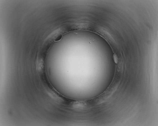 X0000115720077200911121500