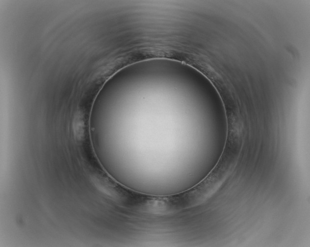 X0000115720080200911121500