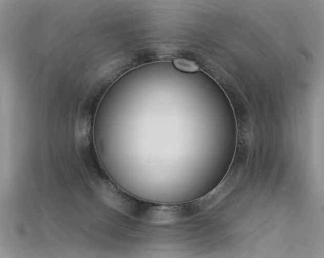 X0000115720082200911121500