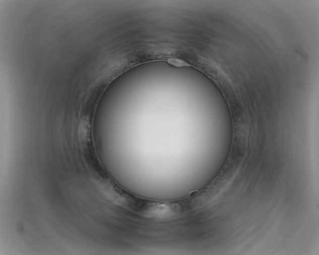 X0000115720083200911121500