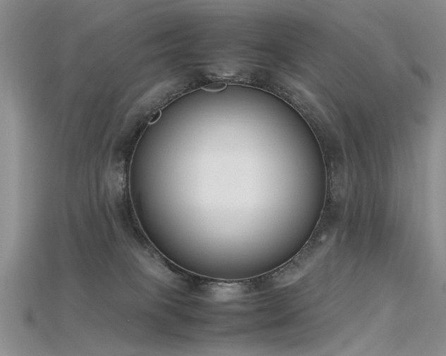 X0000115720085200911121500