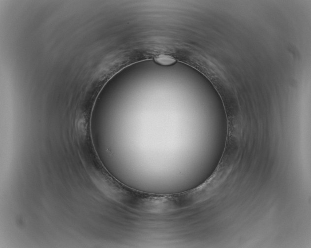 X0000115720086200911121500