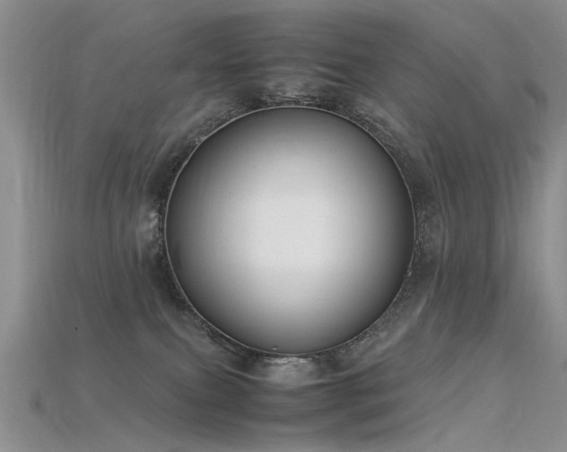 X0000115720087200911121500