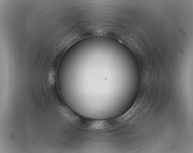 X0000115720090200911121500