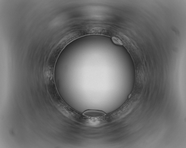 X0000115720091200911121500