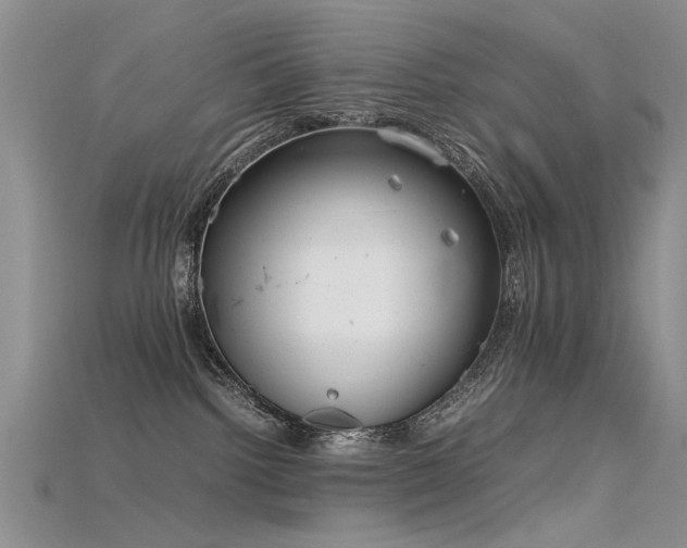 X0000115720092200911121500