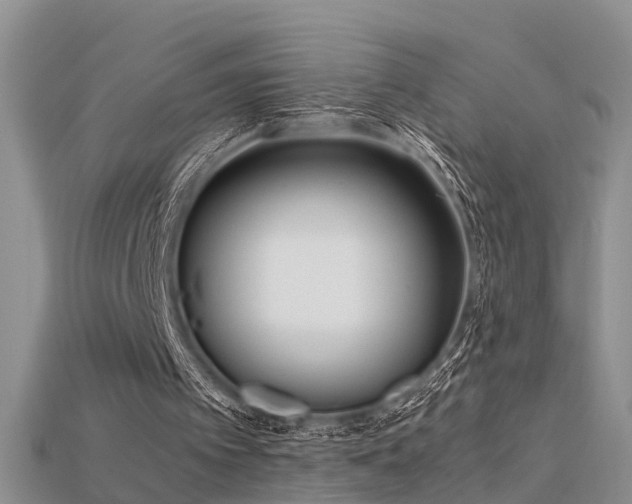 X0000115720097200911121459