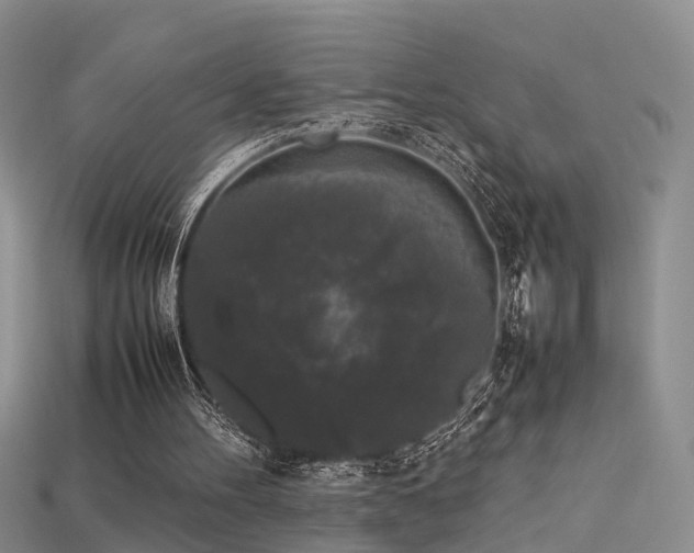 X0000115720100200911121459
