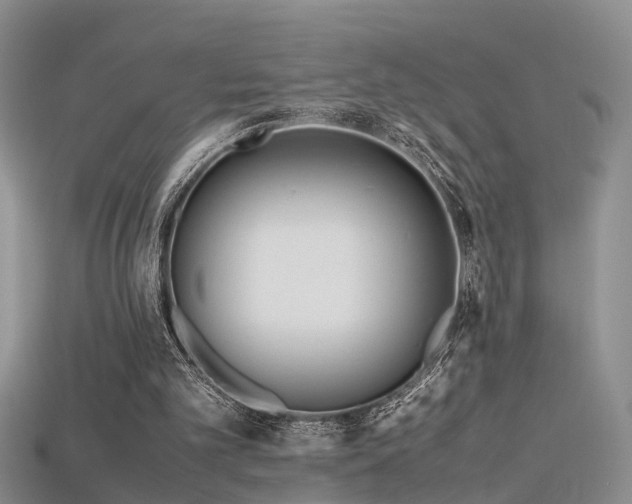 X0000115720101200911121459