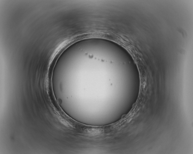 X0000115720102200911121459