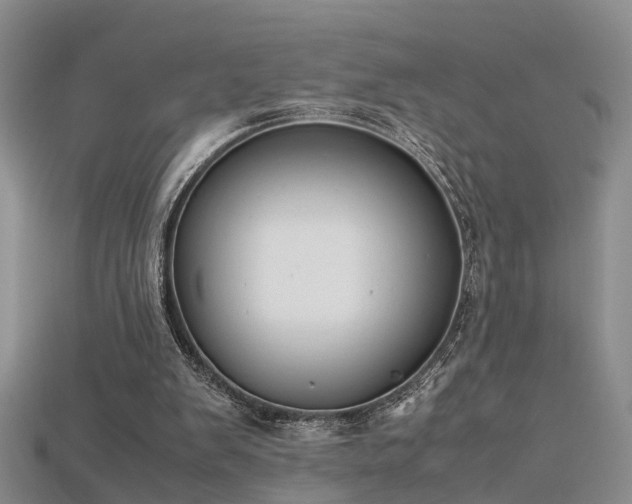X0000115720103200911121459