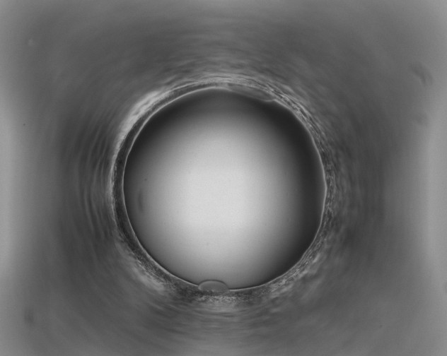 X0000115720104200911121459