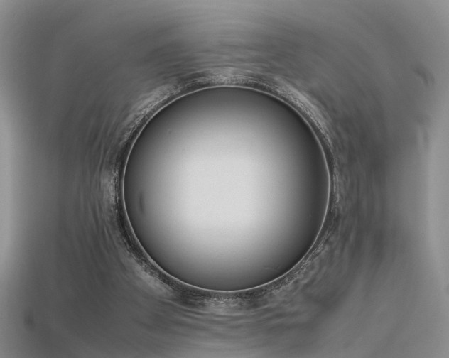 X0000115720105200911121459