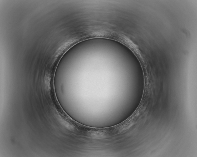 X0000115720106200911121459