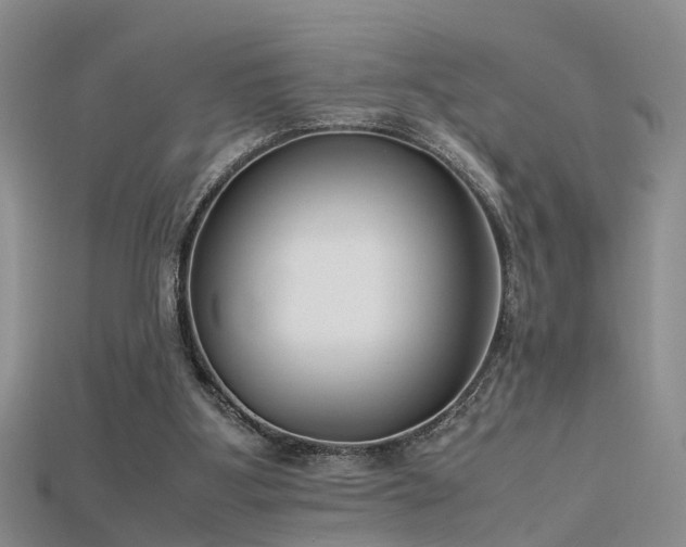 X0000115720107200911121459