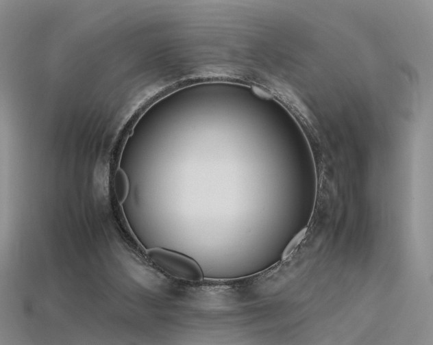 X0000115720108200911121459