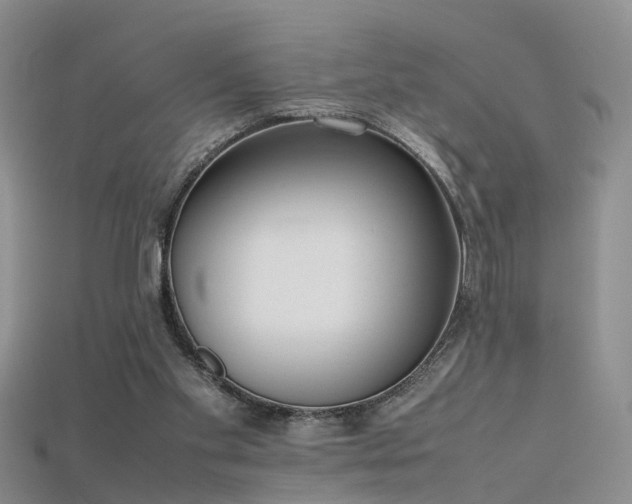 X0000115720109200911121459