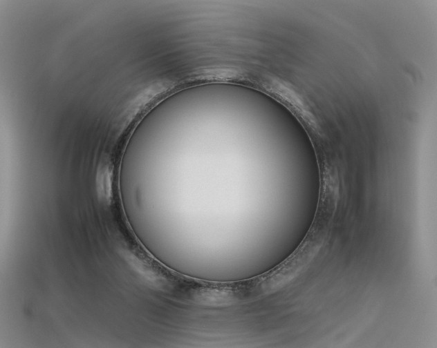 X0000115720110200911121459