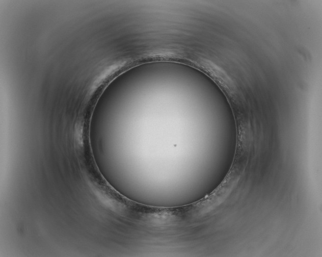X0000115720112200911121459