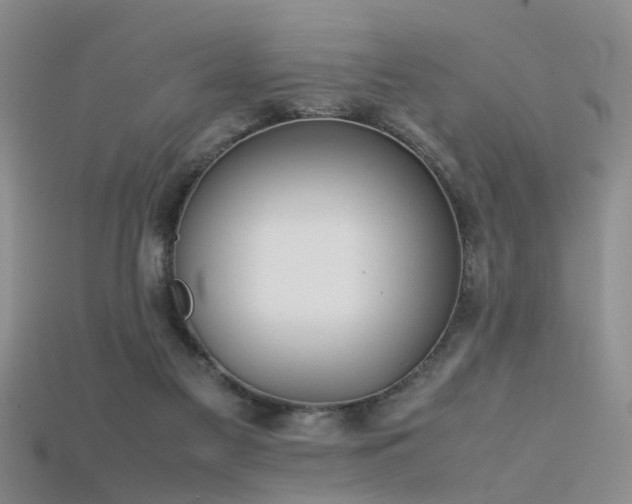 X0000115720117200911121459