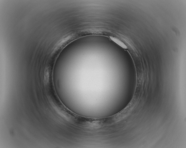 X0000115720120200911121459