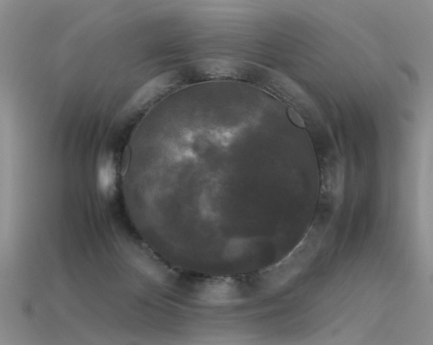 X0000115720124200911121459