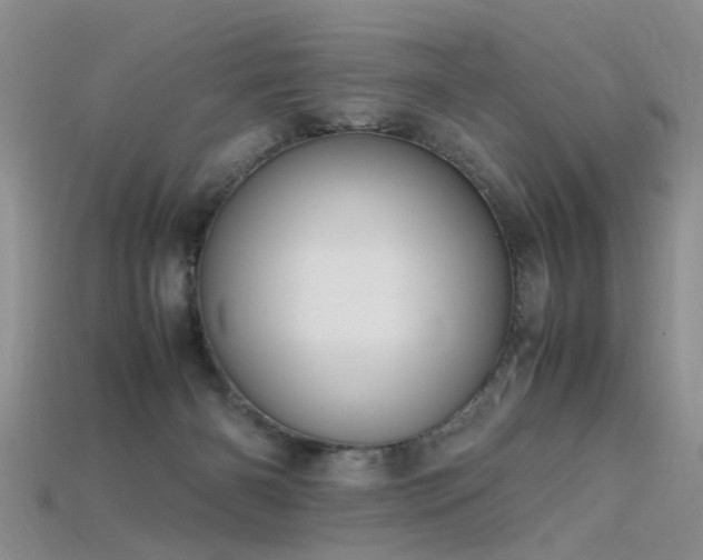 X0000115720126200911121459