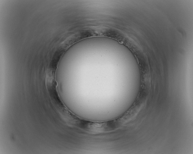 X0000115720129200911121459
