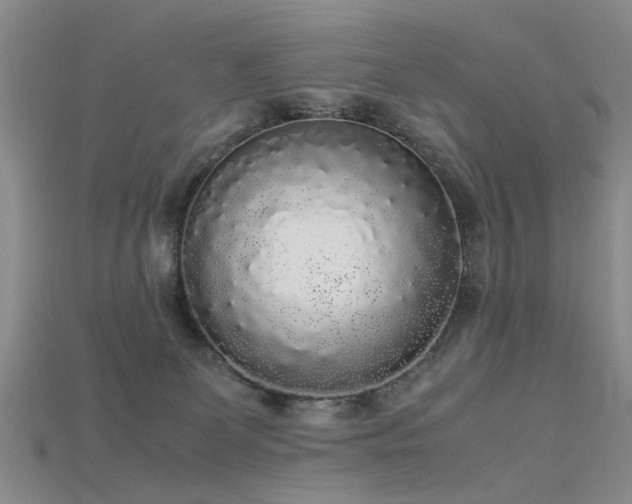X0000115720131200911121459