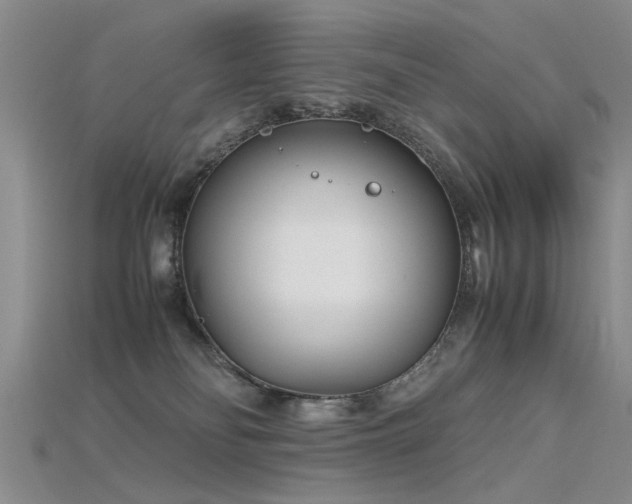 X0000115720134200911121459