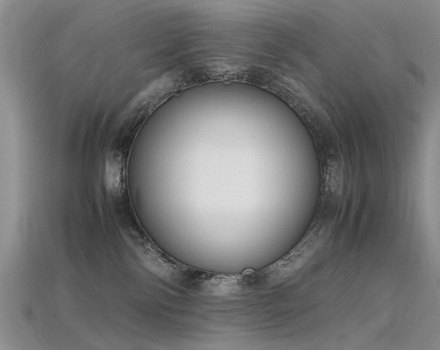 X0000115720138200911121459