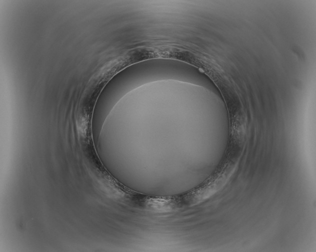 X0000115720139200911121459