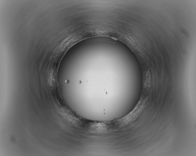 X0000115720140200911121459