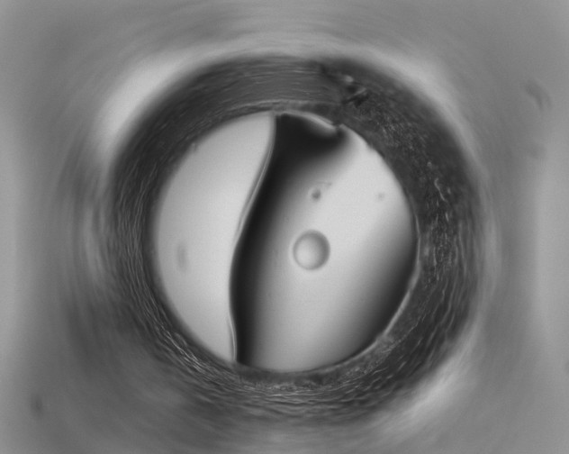 X0000115720146200911121458
