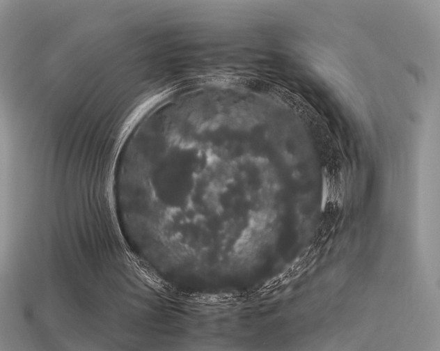 X0000115720147200911121458